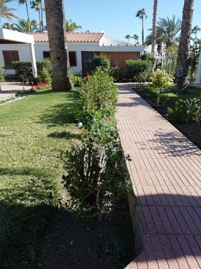 Maspalomas Bungalow Pet Friendly Lägenhet San Bartolomé Exteriör bild